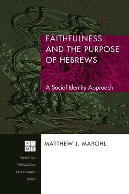 Matthew J Marohl - Faithfulness and the Purpose of Hebrews, Inbunden