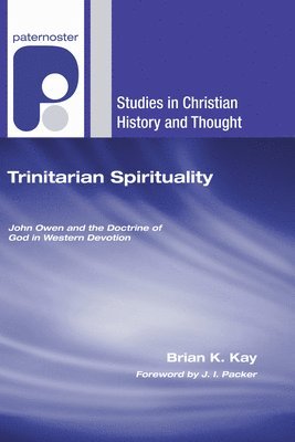 bokomslag Trinitarian Spirituality