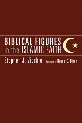 bokomslag Biblical Figures in the Islamic Faith