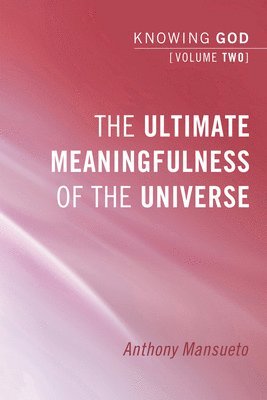 bokomslag The Ultimate Meaningfulness of the Universe: Knowing God, Volume 2