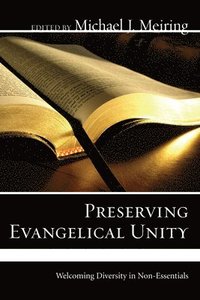 bokomslag Preserving Evangelical Unity