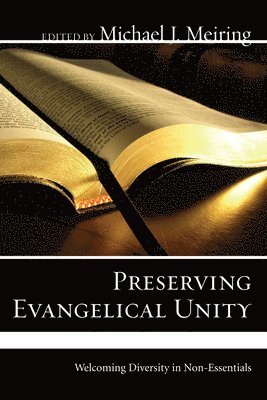 bokomslag Preserving Evangelical Unity