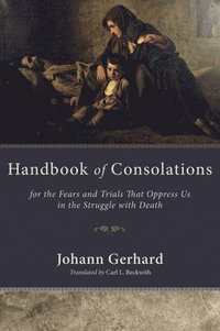 bokomslag Handbook of Consolations