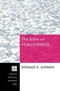bokomslag Bible on Forgiveness