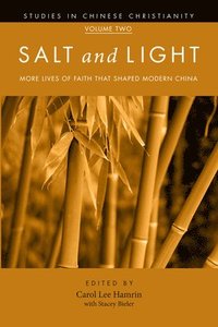bokomslag Salt and Light, Volume 2