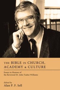 bokomslag The Bible in Church, Academy, and Culture
