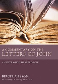 bokomslag Commentary on the Letters of John