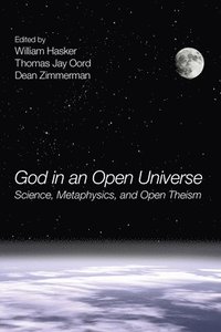 bokomslag God in an Open Universe