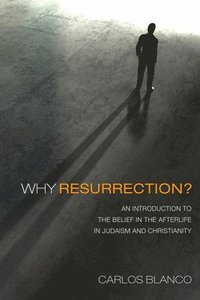 bokomslag Why Resurrection?