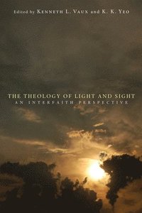 bokomslag The Theology of Light and Sight