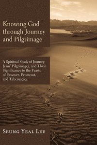 bokomslag Knowing God Through Journey and Pilgrimage