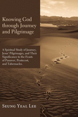 bokomslag Knowing God Through Journey and Pilgrimage