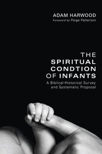bokomslag The Spiritual Condition of Infants