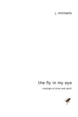 bokomslag Fly in My Eye
