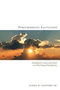 bokomslag Perichoretic Salvation