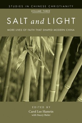 bokomslag Salt and Light, Volume 3