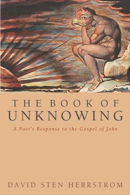 David S Herrstrom, David S. Herrstrom - Book of Unknowing, Inbunden