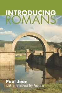 bokomslag Introducing Romans
