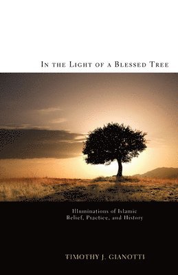 bokomslag In the Light of a Blessed Tree