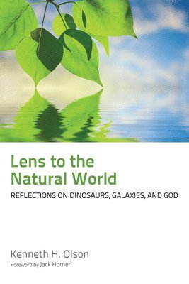 Lens to the Natural World 1