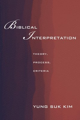 bokomslag Biblical Interpretation