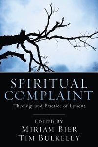 bokomslag Spiritual Complaint