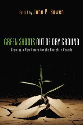 Green Shoots out of Dry Ground 1