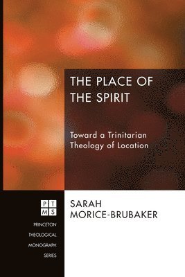 bokomslag Place of the Spirit