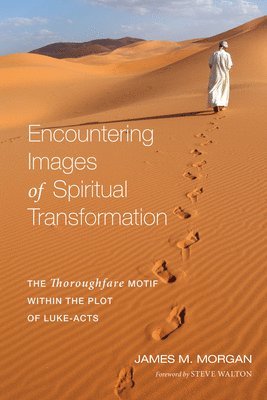 bokomslag Encountering Images of Spiritual Transformation