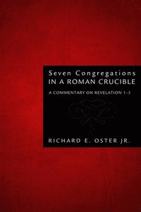 bokomslag Seven Congregations in a Roman Crucible
