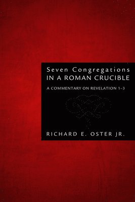 bokomslag Seven Congregations in a Roman Crucible