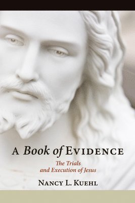 A Book of Evidence 1