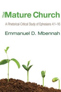 bokomslag The Mature Church