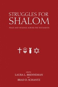 bokomslag Struggles for Shalom