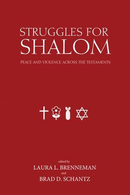bokomslag Struggles for Shalom
