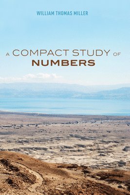 bokomslag Compact Study of Numbers