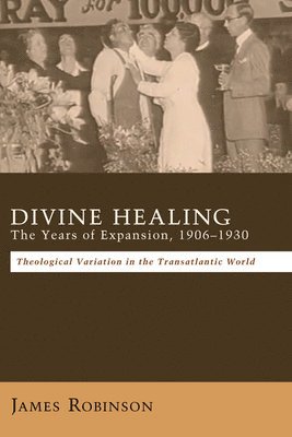 bokomslag Divine Healing