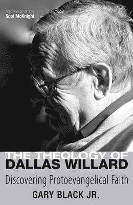 bokomslag Theology of Dallas Willard