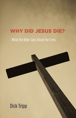 bokomslag Why Did Jesus Die?