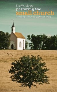 bokomslag Pastoring the Small Church