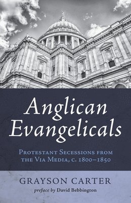 bokomslag Anglican Evangelicals