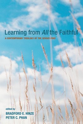 Bradford E Hinze, Peter C Phan, Bradford E. Hinze, Peter C. Phan - Learning from All the Faithful, Inbunden