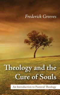 bokomslag Theology and the Cure of Souls