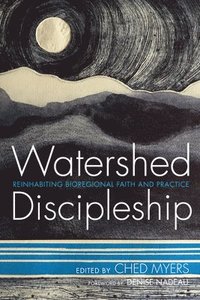 bokomslag Watershed Discipleship