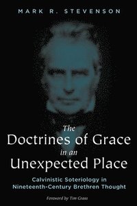 bokomslag Doctrines of Grace in an Unexpected Place