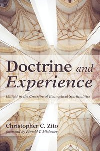 bokomslag Doctrine and Experience