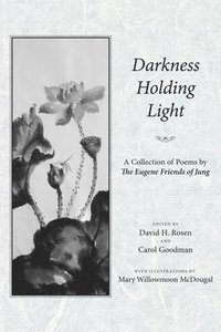 bokomslag Darkness Holding Light