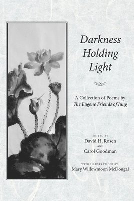 David H Rosen, Carol Goodman - Darkness Holding Light, Häftad