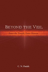 bokomslag Beyond the Veil