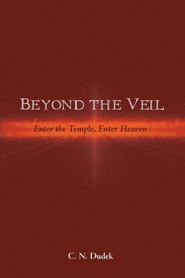 bokomslag Beyond the Veil